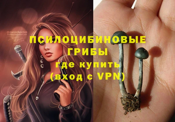 спиды Абдулино