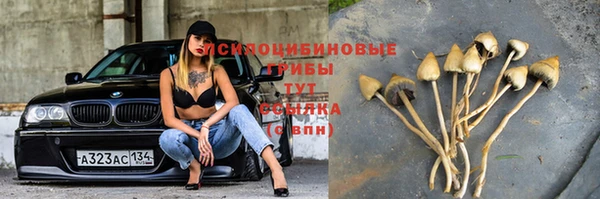 спиды Абдулино