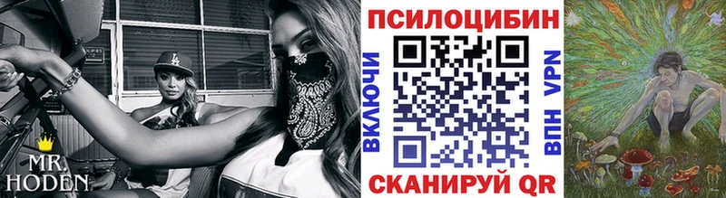 Псилоцибиновые грибы Magic Shrooms  где купить наркоту  ОМГ ОМГ ССЫЛКА  Рославль 