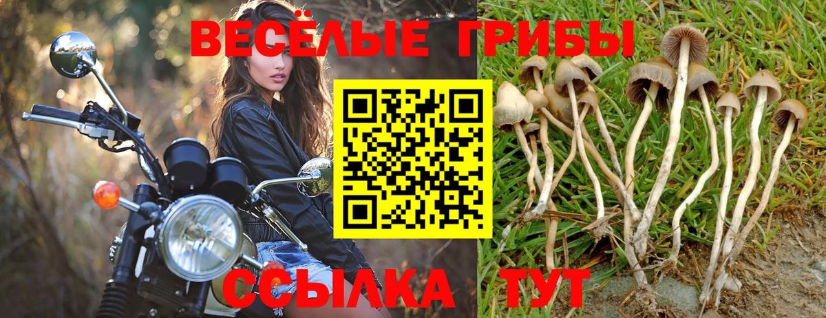 Галлюциногенные грибы Psilocybe  Галлюциногенные грибы ЛСД  Рославль  Вход с VPN 