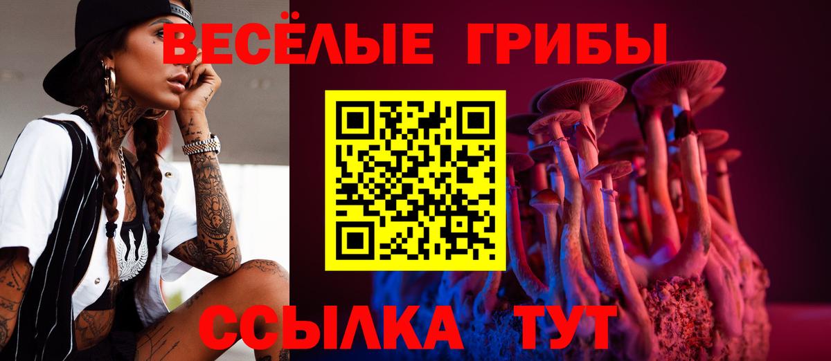 Псилоцибиновые грибы MAGIC MUSHROOMS Рославль